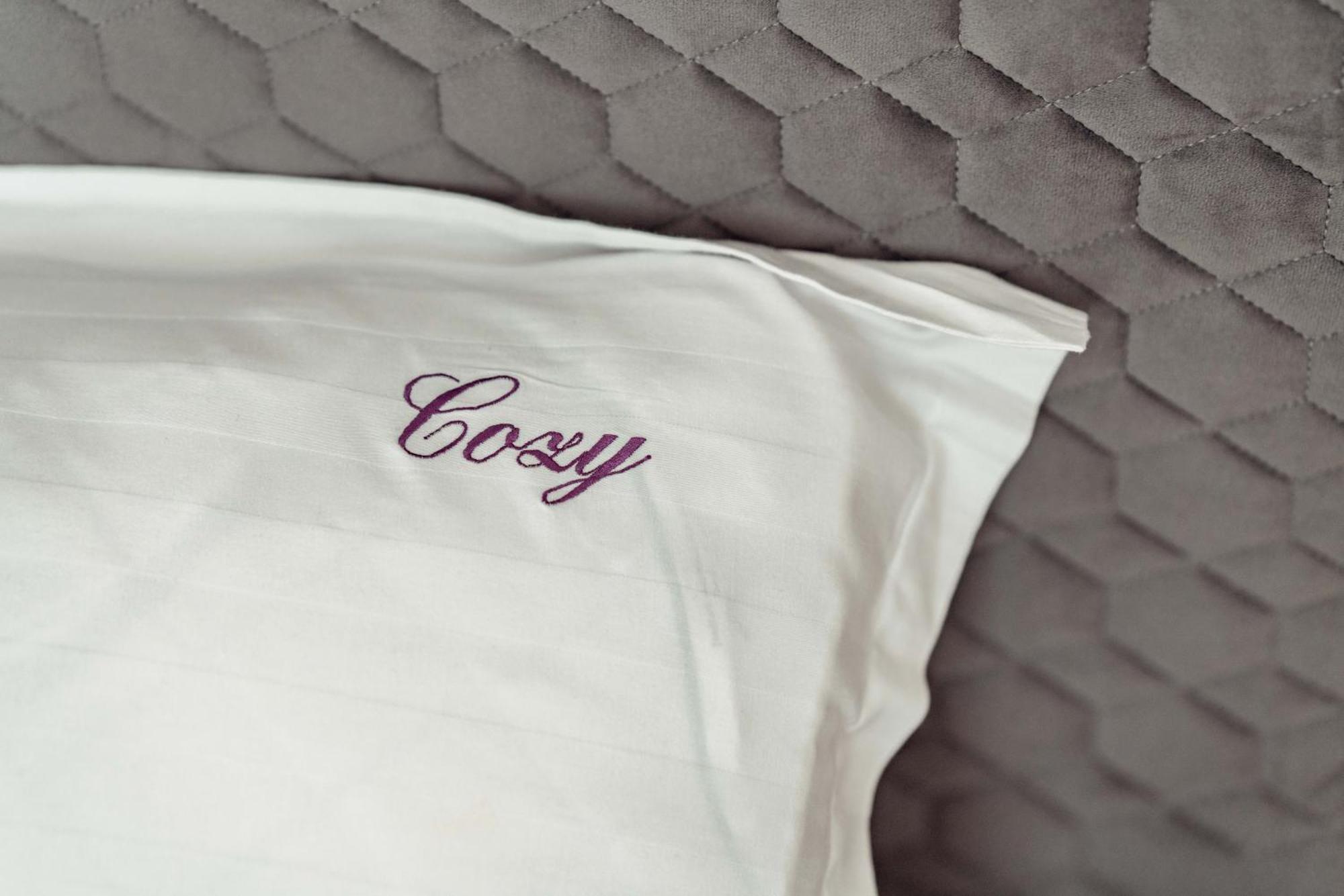 Cozy Aparthotel - Ultracentral Luxury Apartments ยาช ภายนอก รูปภาพ